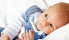 bebe