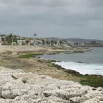 Tsunami
