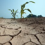Sécheresse : La Grande-Terre placée en alerte