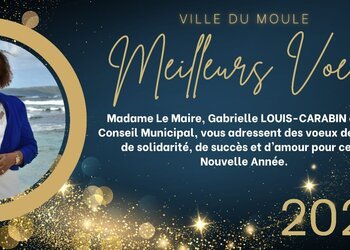 Meilleurs voeux pour cette nouvelle année !