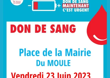 Don de sang 