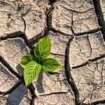 Transition écologique "Green Team"