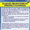 Élagage obligatoire en période cyclonique
