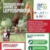 Protégeons-nous contre la leptospirose !