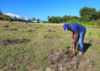 Travaux de plantation à Ouatibi-tibi