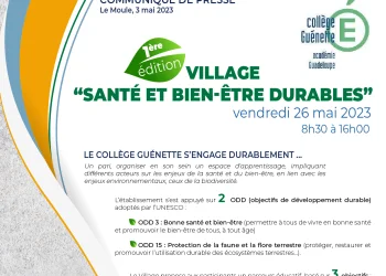 SANTÉ ET BIEN-ÊTRE DURABLES