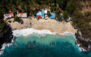 Journées Japonaises - Journées telluriques et des tsunamis