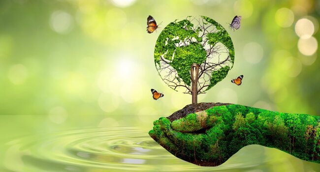 Appel à projet - Service Civique Écologique