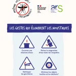 Les gestes qui éliminent les moustiques