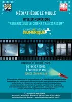 Atelier numérique : "Regards sur le cinéma transgressif"