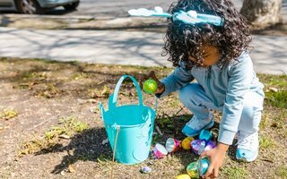 Programmes ALSH des vacances d'avril 2025
