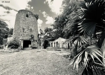Habitation Néron