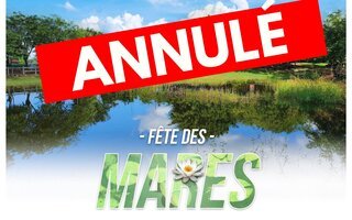 Annulation de la Fête des mares