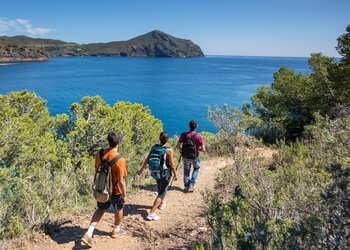 Marche sur le territoire Moulien 