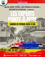 Les experts Pointe à Pitre