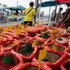 Le Marché du Moule en lice pour le titre de Plus Beau Marché de France