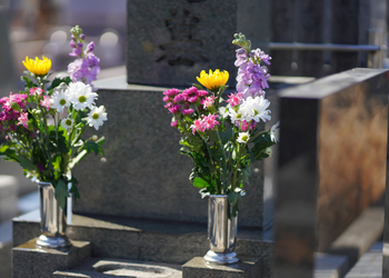 Informations à l'approche de la Toussaint