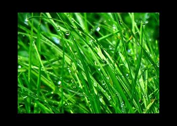 Terrains insalubres et maisons vétustes