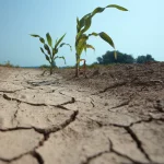 Sécheresse : La Grande-Terre placée en alerte