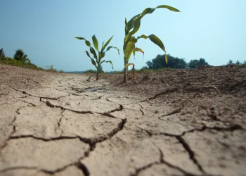 Sécheresse : La Grande-Terre placée en alerte