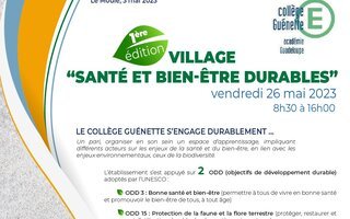 SANTÉ ET BIEN-ÊTRE DURABLES