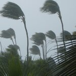 Communiqué : Vigilance ROUGE – Tempête Jerry