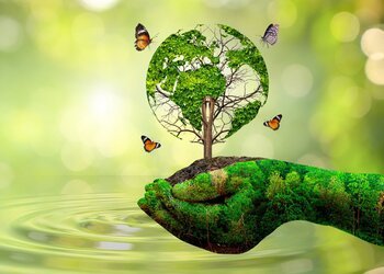 Appel à projet - Service Civique Écologique