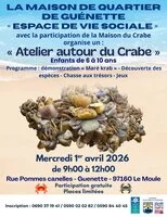 Atelier autour du crabe