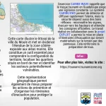 Exercice tsunami