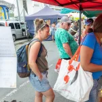 Le Marché du Moule en lice pour le titre de Plus Beau Marché de France
