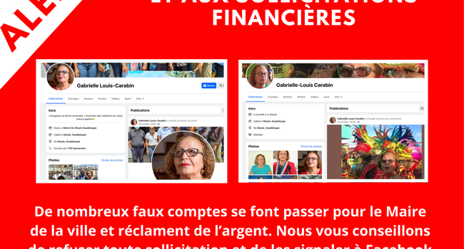 Usurpation d'identité : de faux profils se font passer pour Madame le Maire