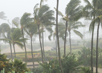 Enquête publique sur la révision des PPRN – À partir du 12 novembre 2025