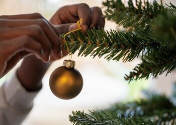 Le Moule en fête de Noël ! 