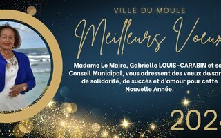 Meilleurs voeux pour cette nouvelle année !