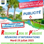 Réunions d'informations - RLP
