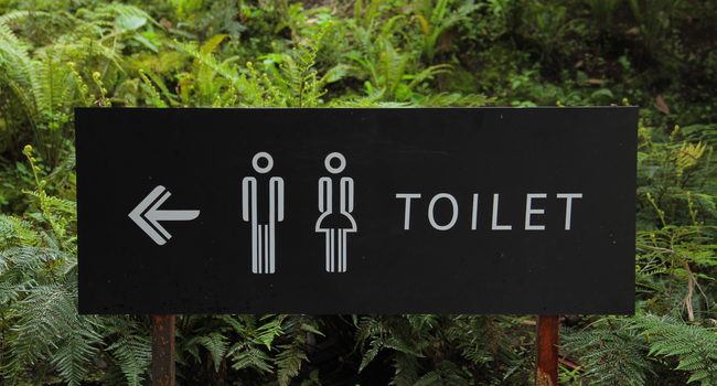Des toilettes publiques pour améliorer le cadre de vie