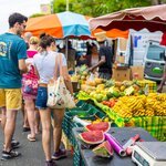 Le Marché Agricole du Moule s'anime au mois d'août