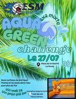 Aqua Green Challenge