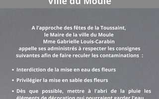 Communiqué - Toussaint