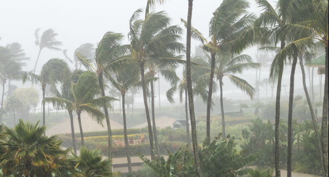 Enquête publique sur la révision des PPRN – À partir du 12 novembre 2025