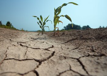 Sécheresse : La Grande-Terre placée en alerte