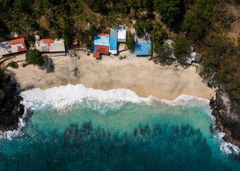 Journées Japonaises - Journées telluriques et des tsunamis