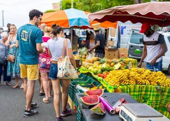 Le Marché Agricole du Moule s'anime au mois d'août