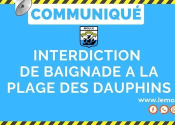 Arrêté temporaire d'interdiction de baignade à la plage des Dauphins