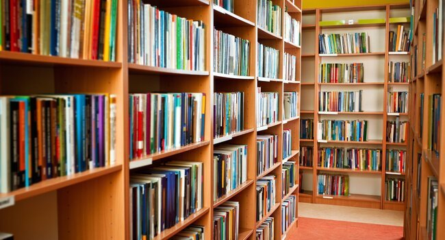 Lecture théâtralisée avec Cynthia Gocoul