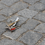 Objets trouvés ou perdus