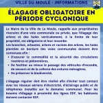 Élagage obligatoire en période cyclonique