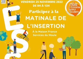 Matinale de l'insertion à la Maison France Services 