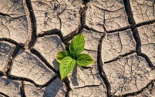 Transition écologique "Green Team"