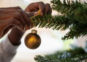 Le Moule en fête de Noël ! 